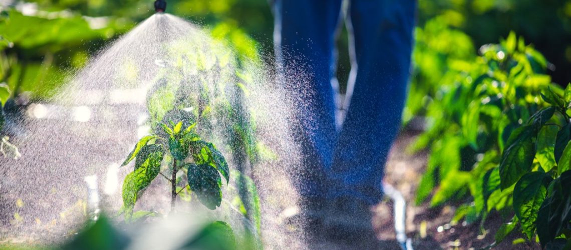 Quels sont les dangers des pesticides pour la santé ?